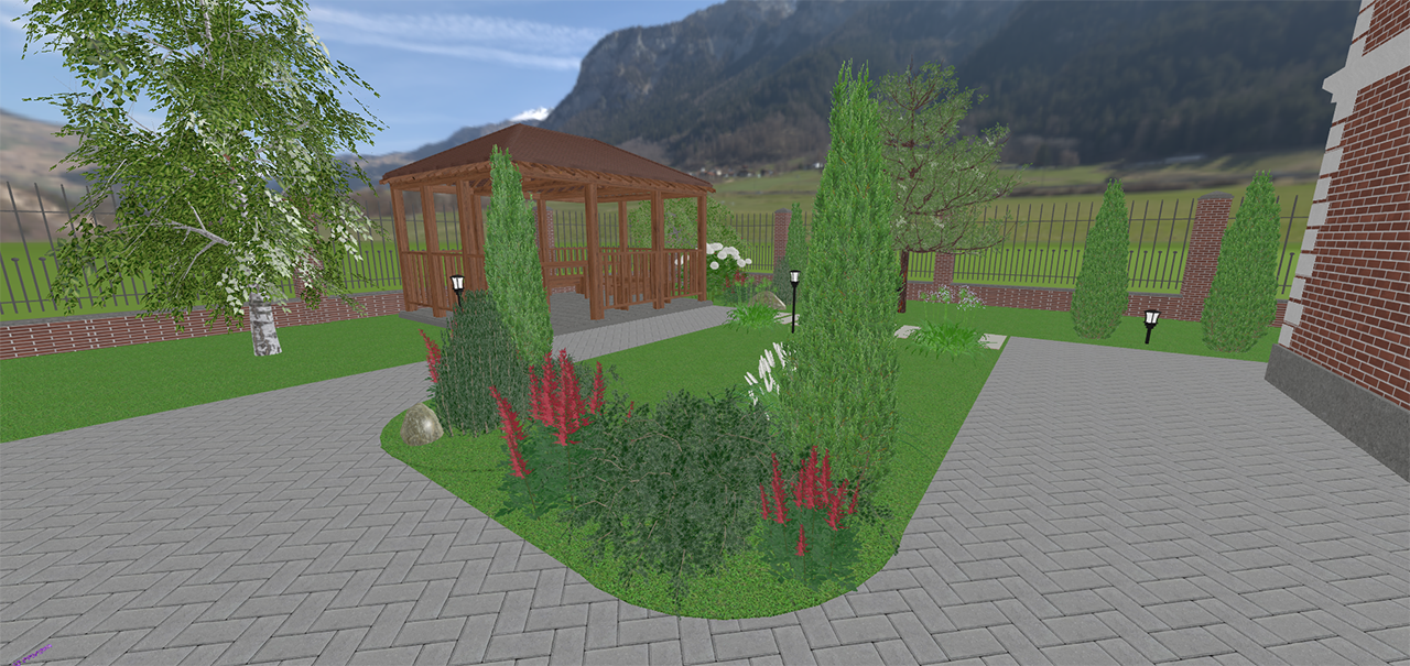 Растения на участке